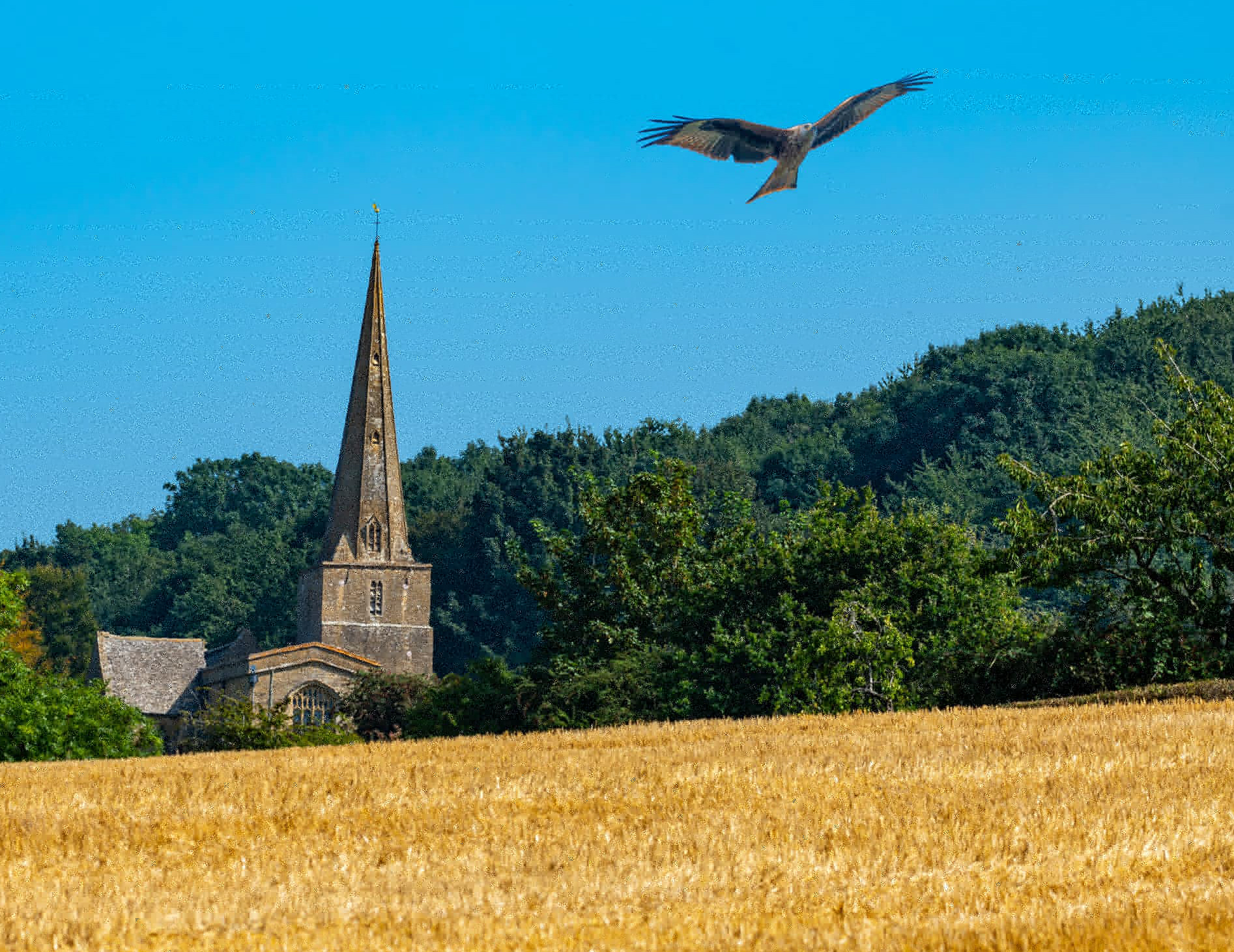Kite over Saintbury Church
